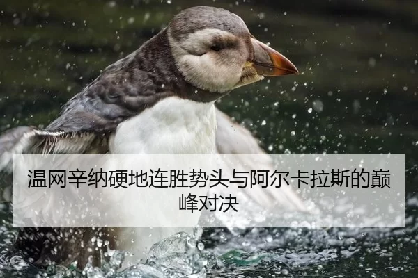 wen-wang-xin-na-ying-di-lian-sheng-shi-tou-yu-a-er-ka-la-si-de-dian-feng-dui-jue-3-739.jpg